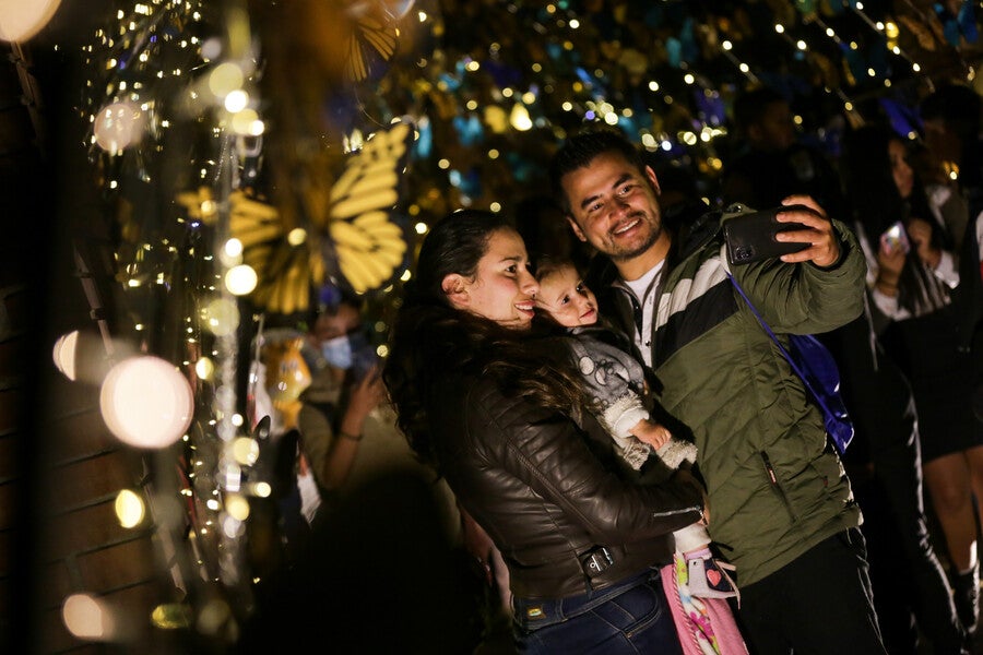 Polinizando, alumbrado en el Jardín Botánico