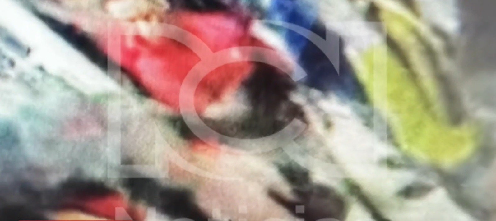 Presunto abusador de Hilary Castro en estación de Transmilenio