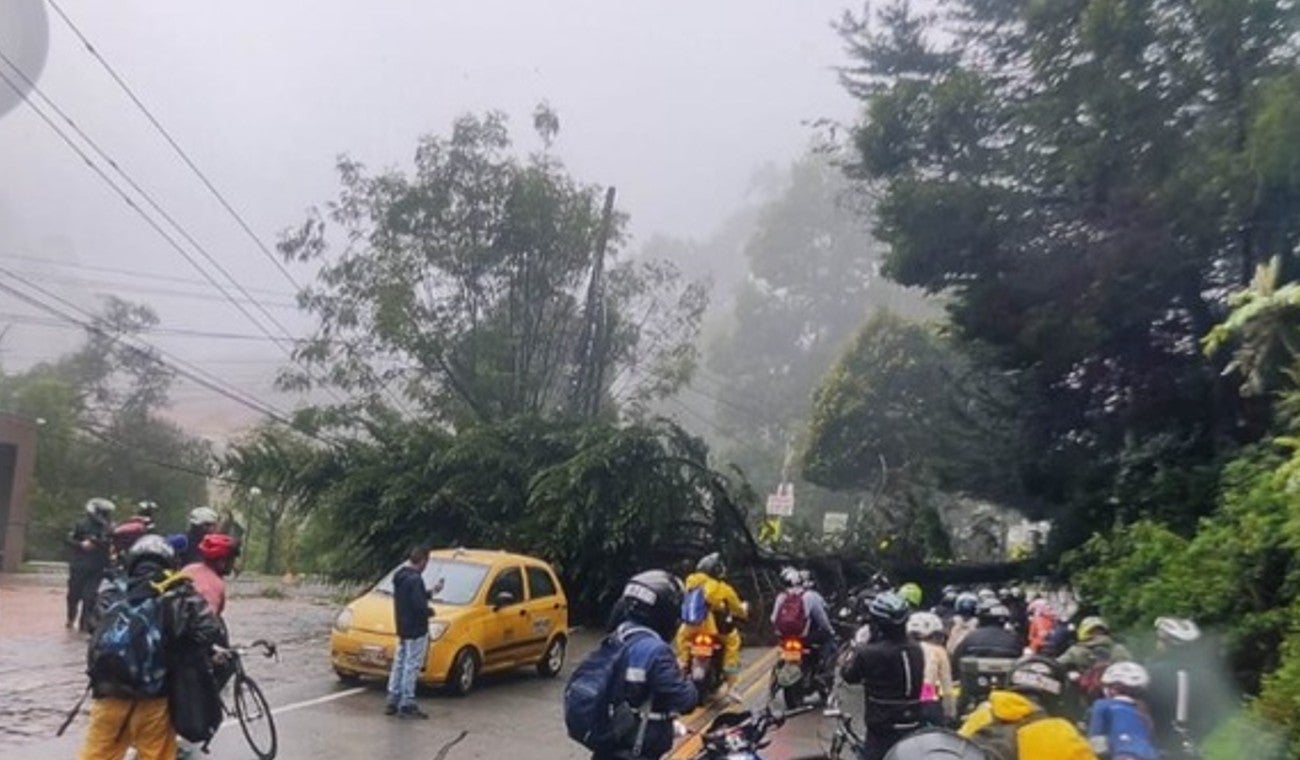 Vía La Calera cerrada por caída de árbol