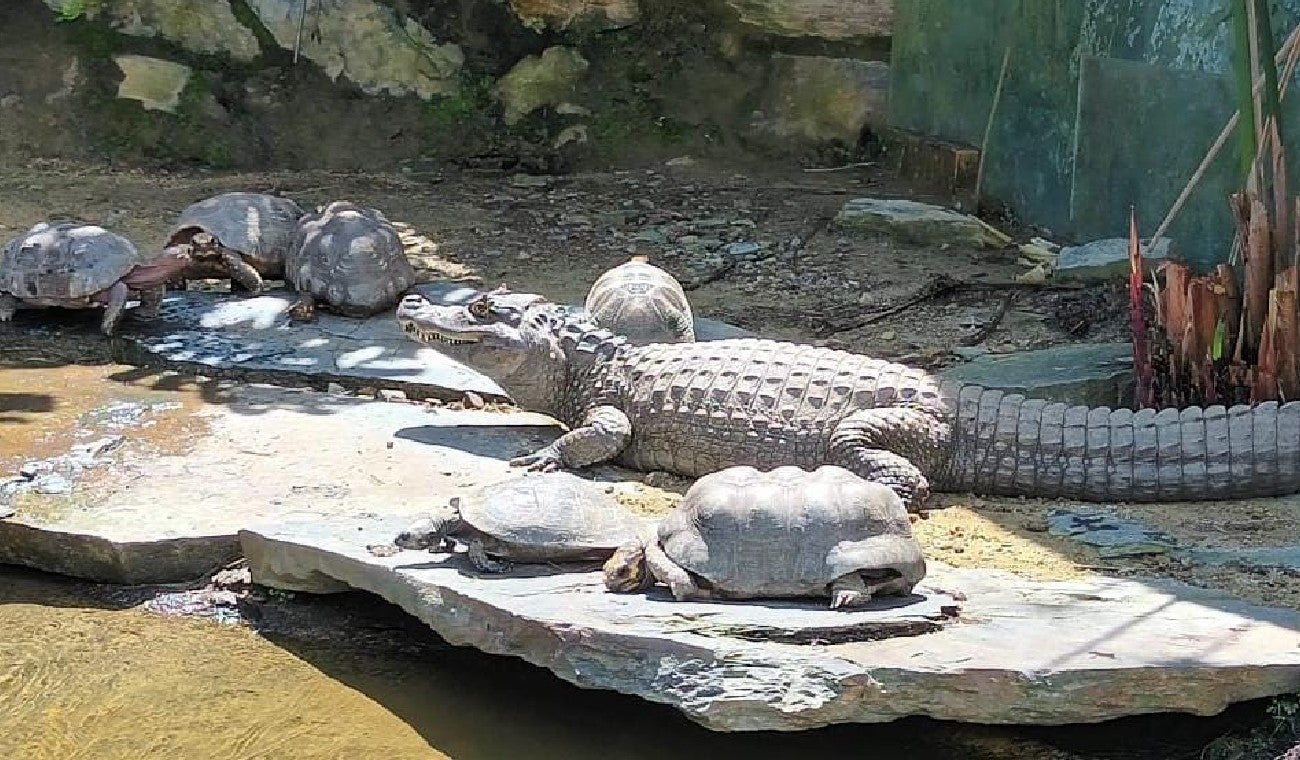 CAR incautó animales silvestres utilizados con fines comerciales en parque recreativo