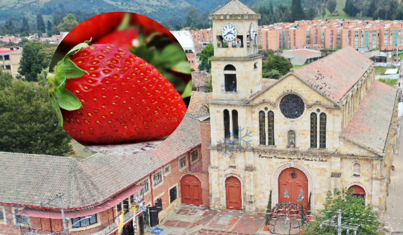 Fresas de Sibaté, Cundinamarca