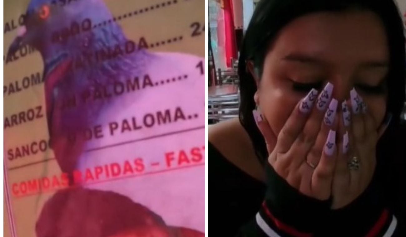 Restaurante que vendería palomas contó la verdad
