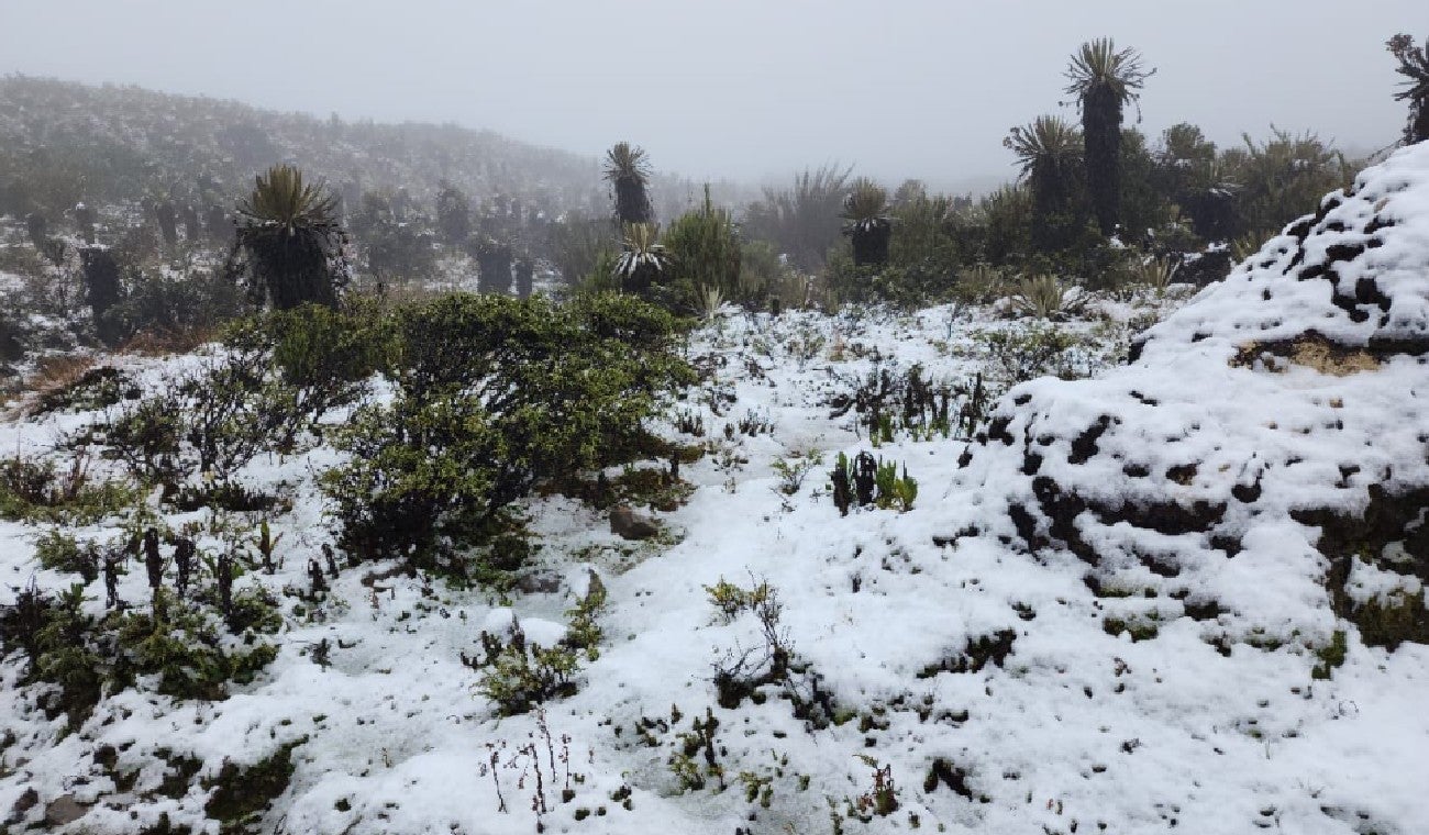 Nieve en Bogotá