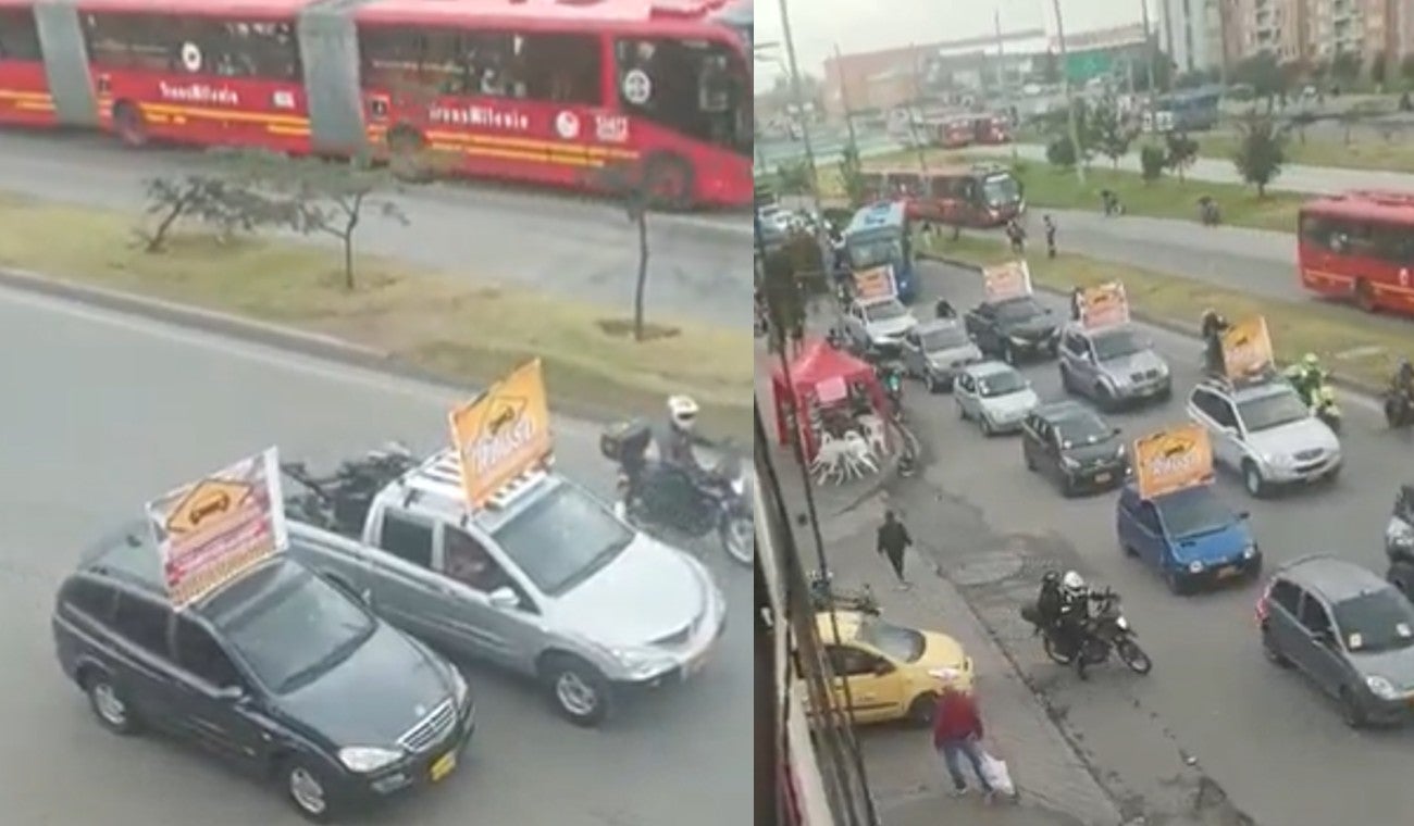 Plan Tortuga en Bogotá