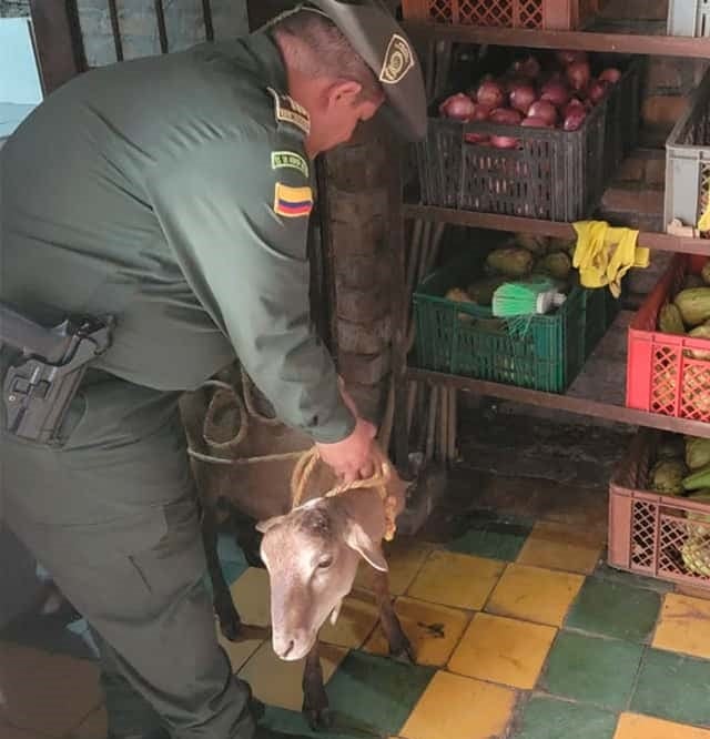 Cierre preventivo de restaurante chino