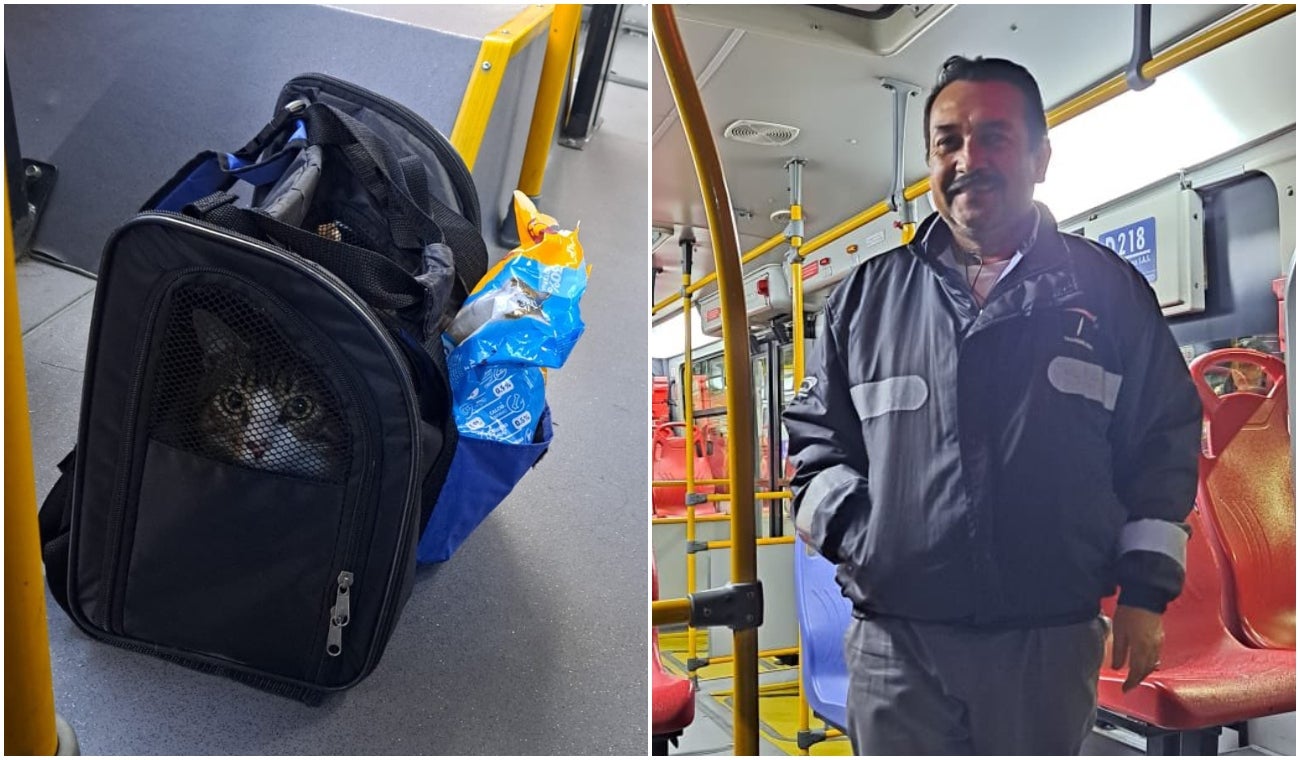 Conductor rescató gato abandonado en TransMilenio