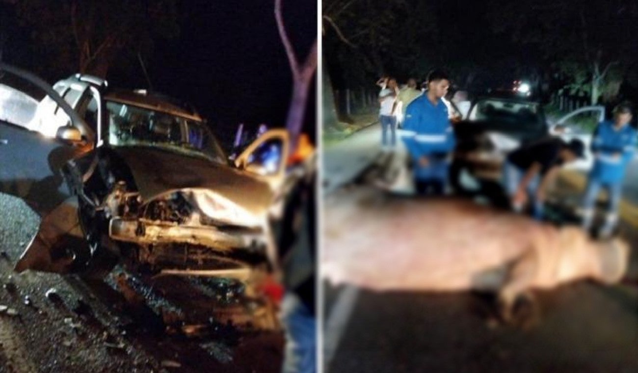 Hipopótamo murió en accidente de tránsito