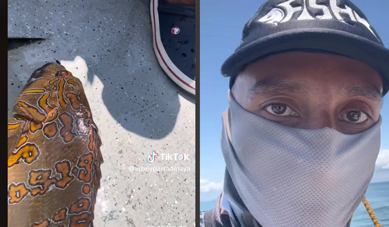 Números de la suerte en un pescado