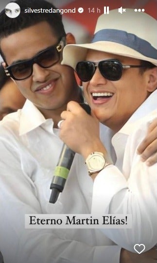 Silvestre y Martín Elías