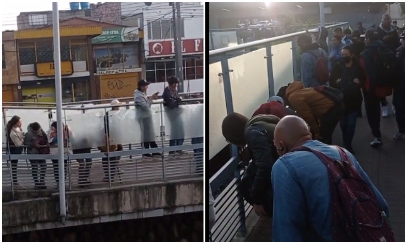 Avistamiento de extraña rana gigante desde Transmilenio