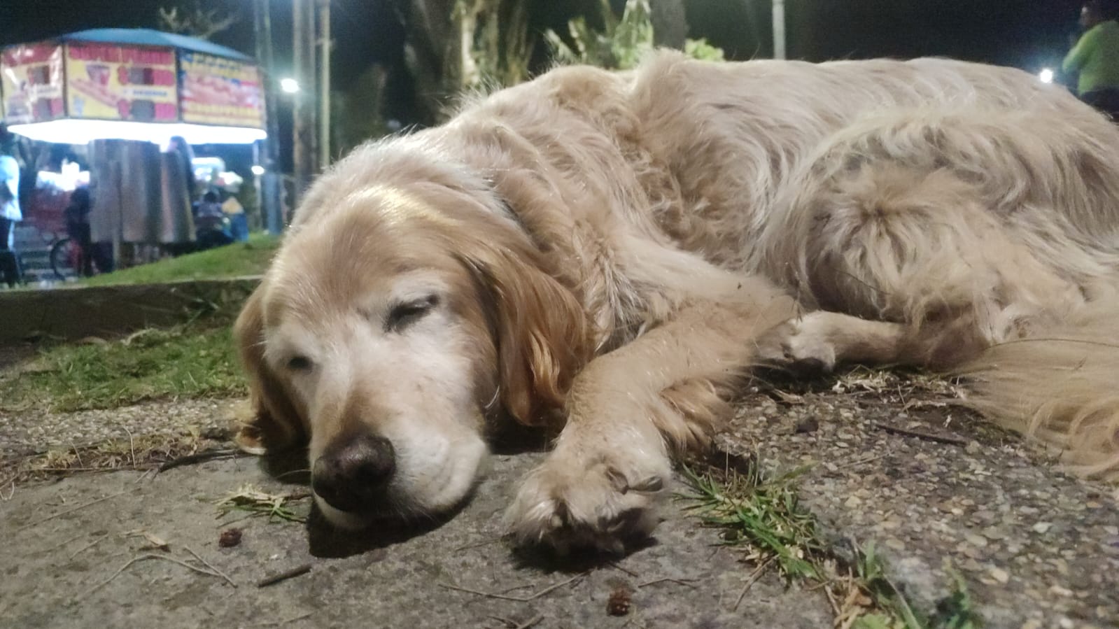Ciclovía nocturna en Bogotá