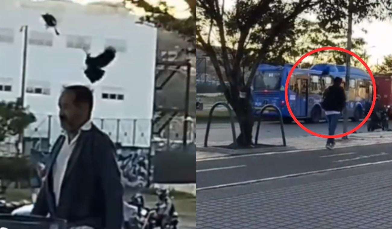 Video: Cuervos atacan a peatones en Bogotá