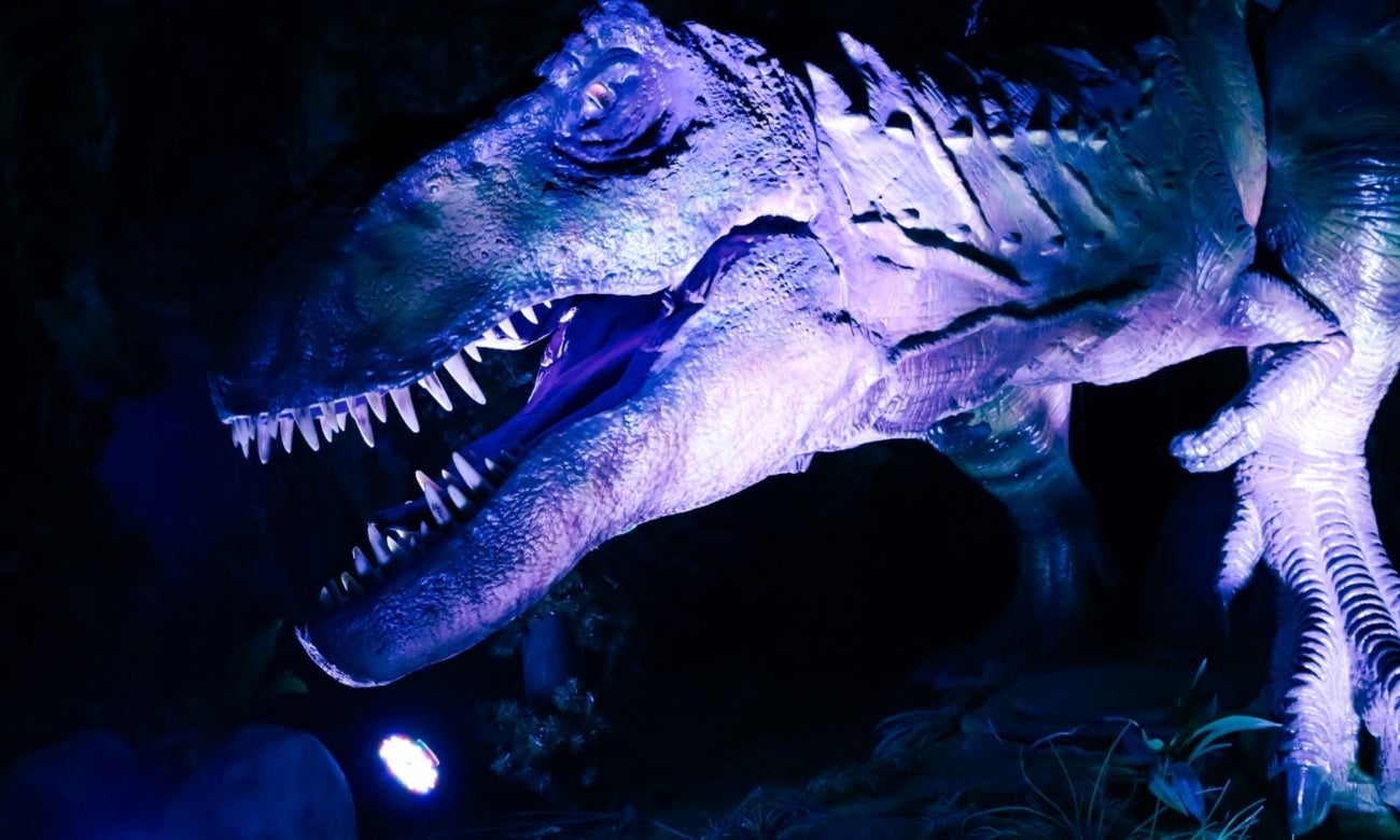 Fósiles de dinosaurios hallados en el sur de Bogotá cobran vida