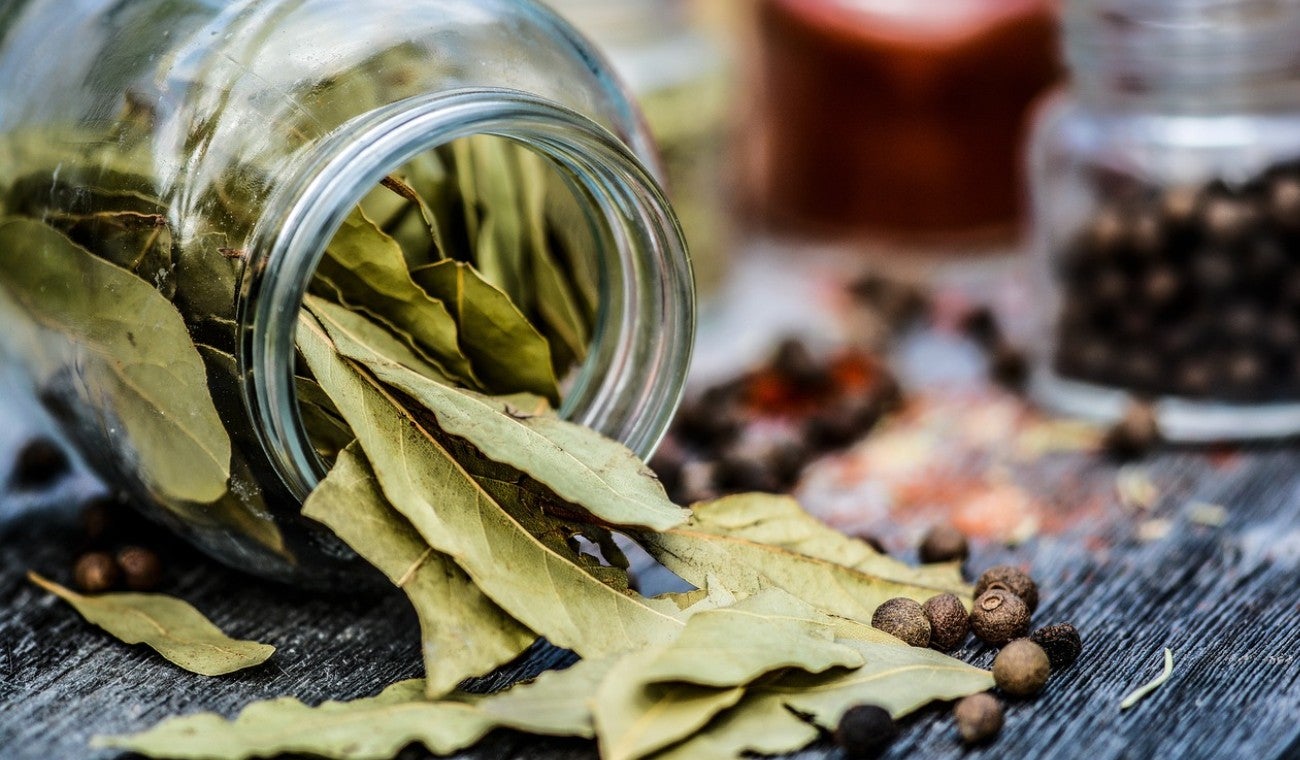 Cómo guardar una hoja de laurel en la billetera: atraerá plata en Navidad