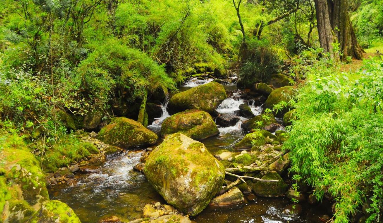 Recorrido del Distrito por el Río Fucha