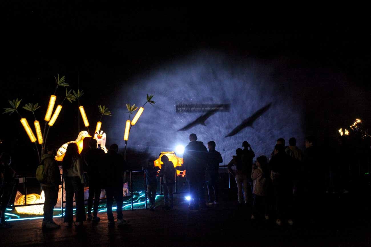 Majestuosos, show de iluminación navideña en el jardín botánico