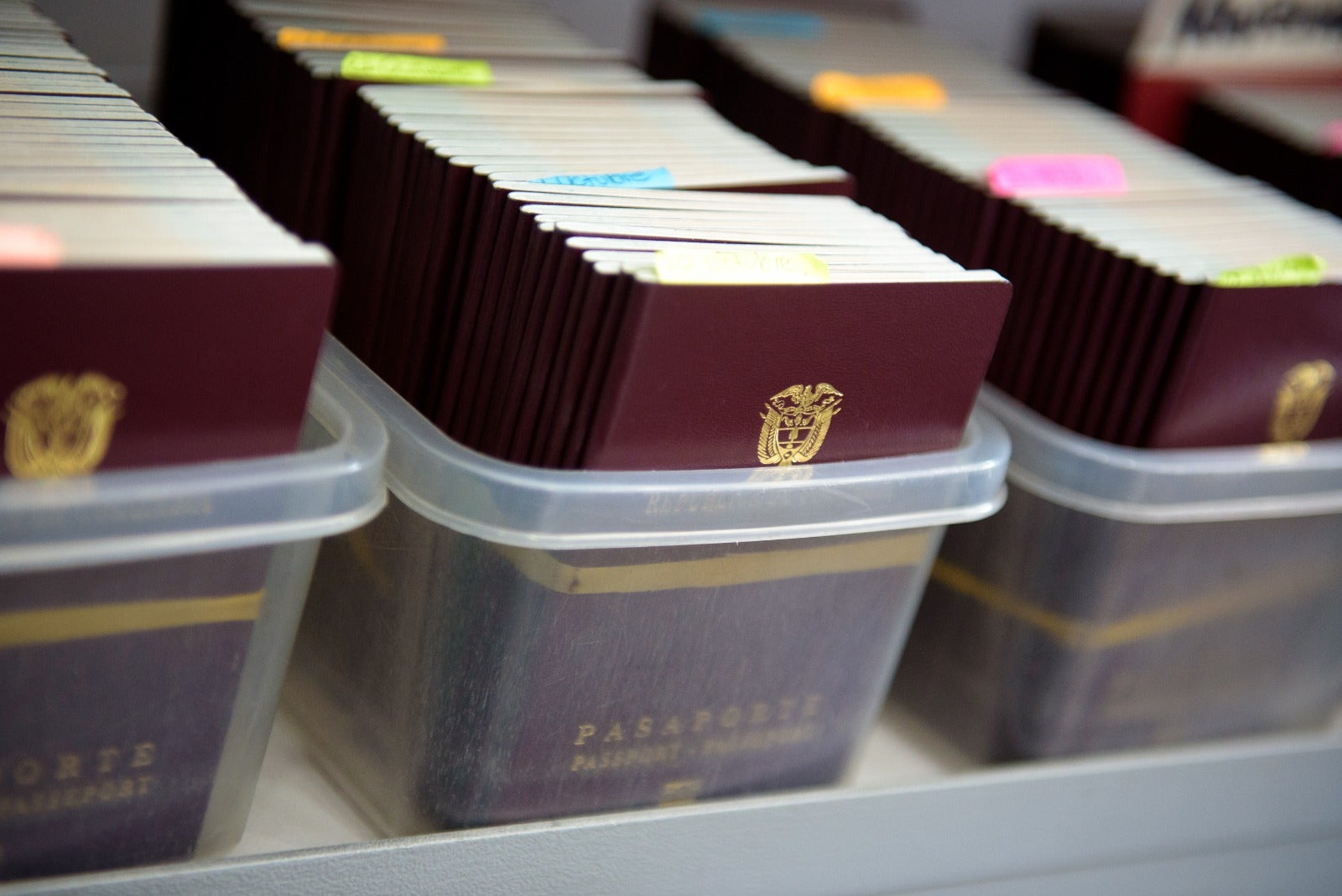 Pasaportes referencia