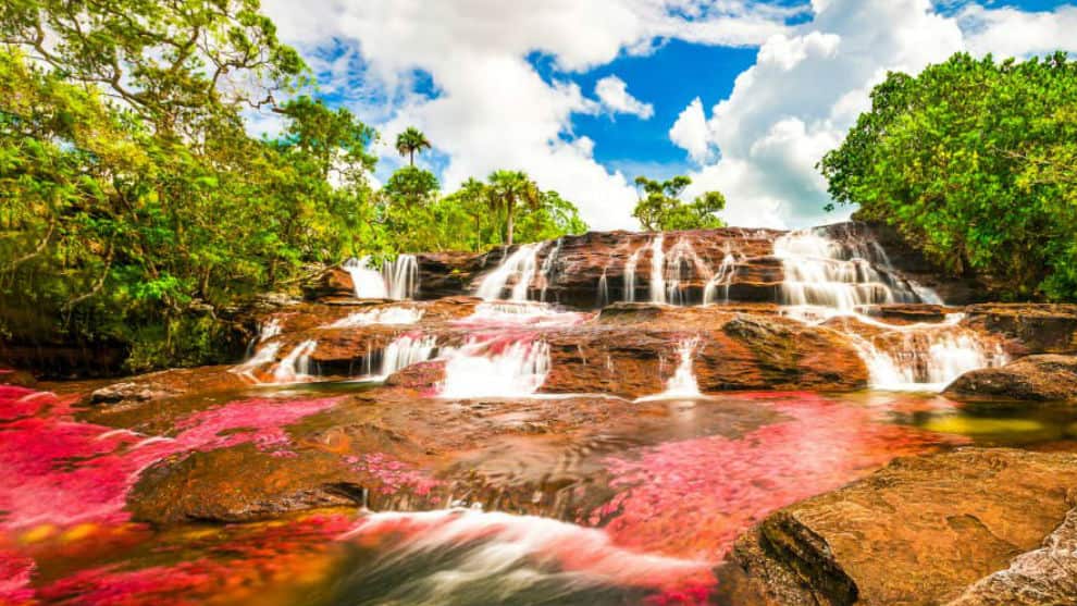 Caño cristales es uno de los grandes atractivos turísticos del departamento del Meta