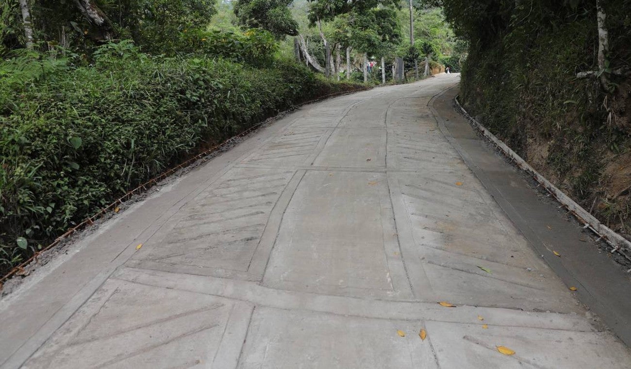 Verda Nariz Alta en Sasaima