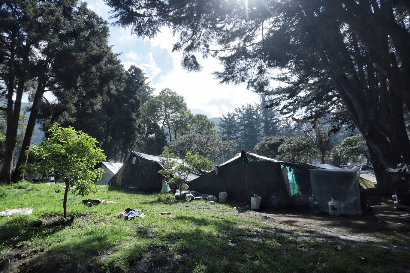 Parque Nacional en riesgo: multitud alerta con hacer cambuches