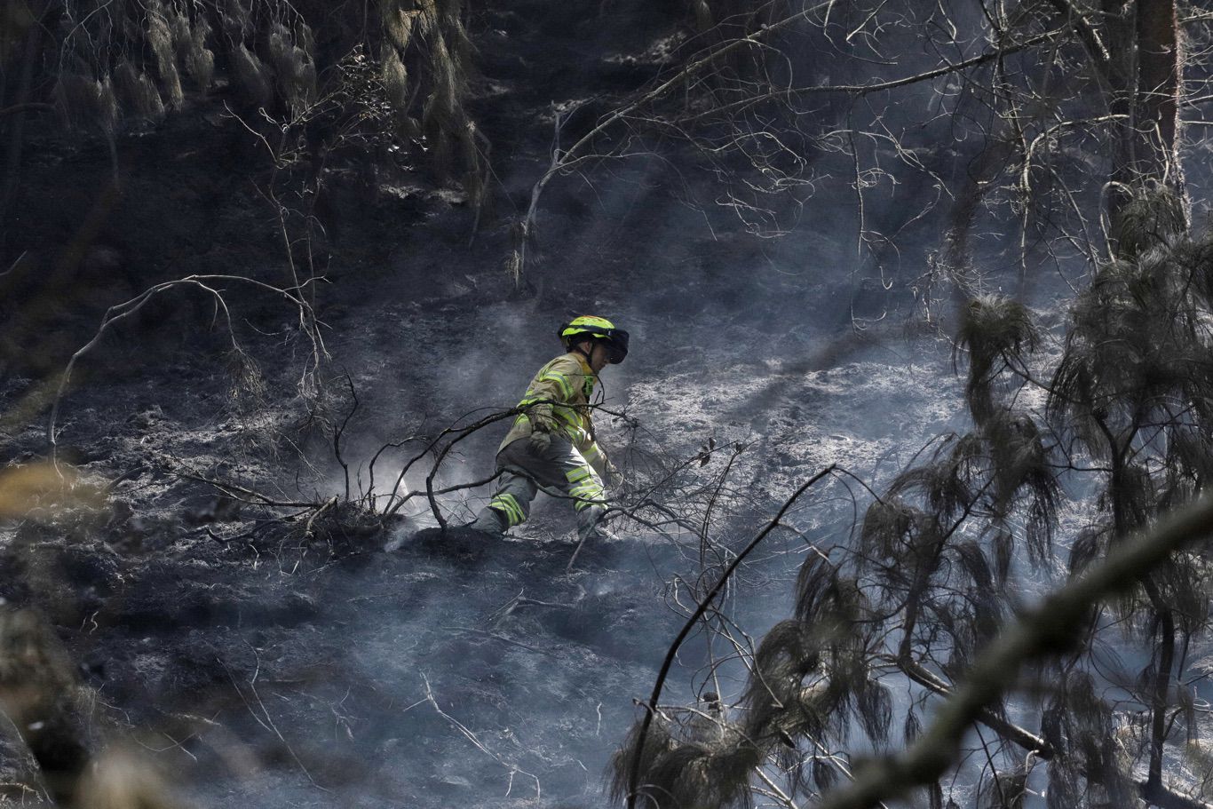 Incendio forestal en cerros orientales en Bogotá