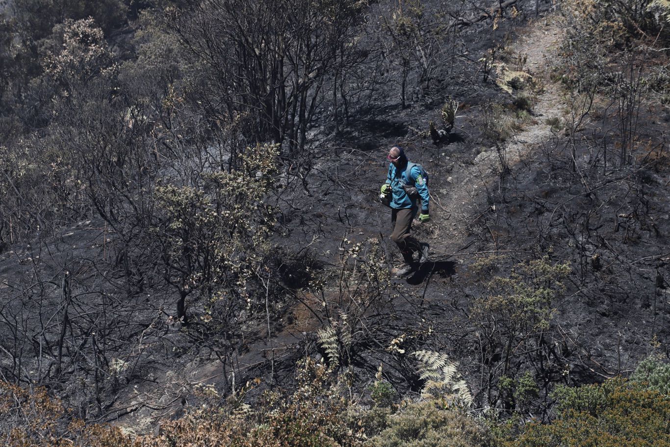 Incendio forestal en Bogotá