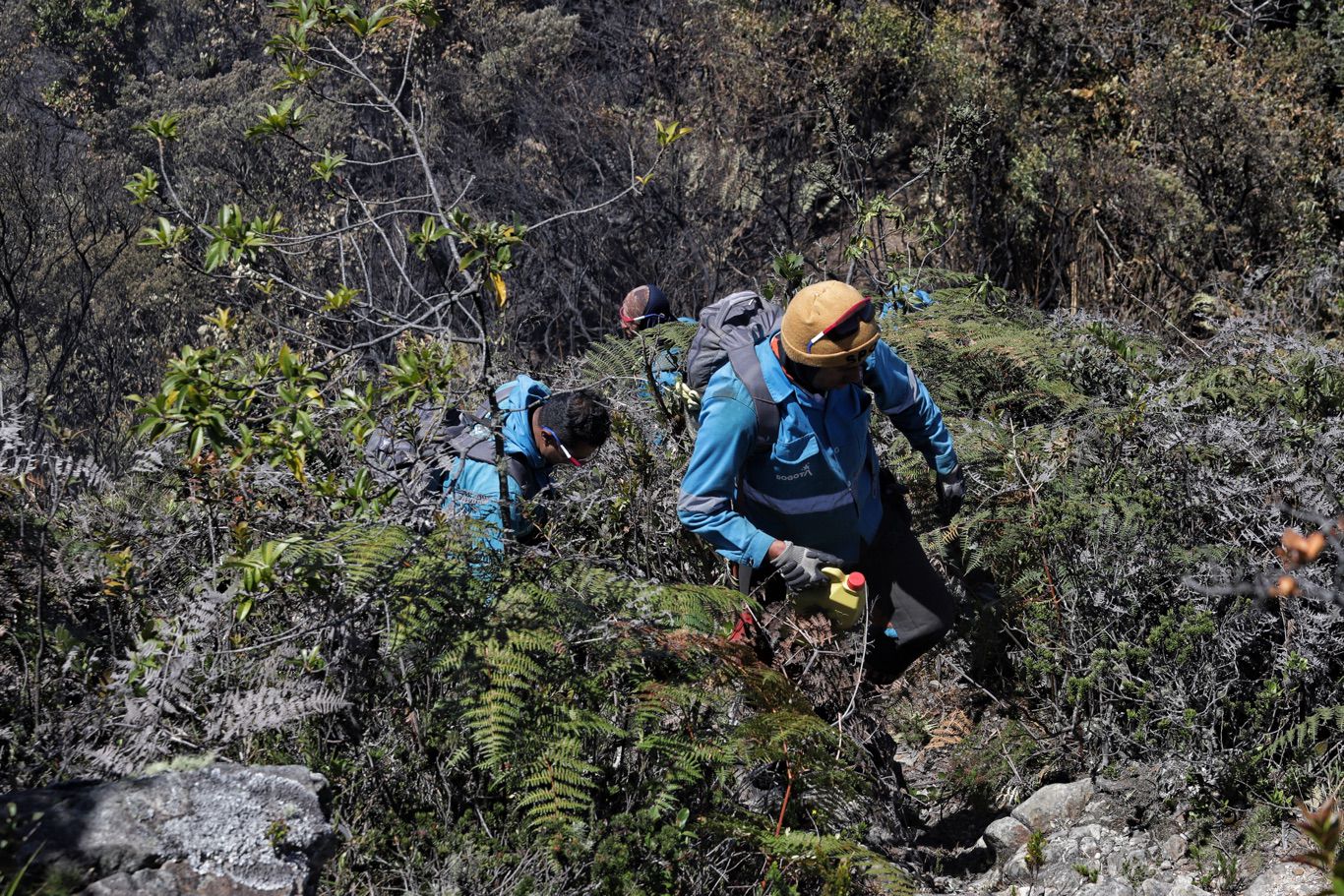 Incendio forestal en Bogotá