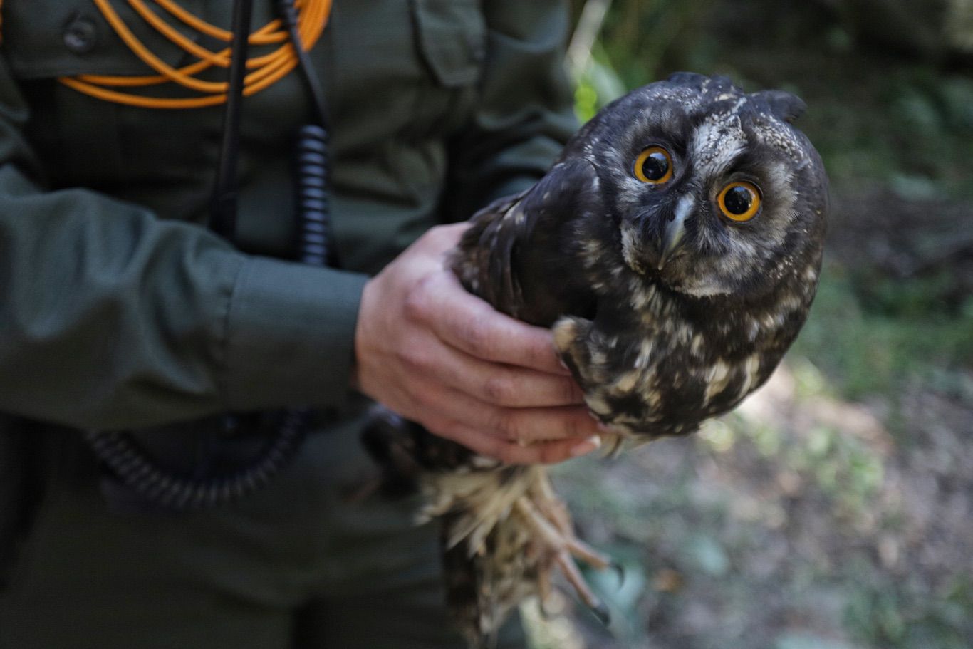 Incendio forestal en Bogotá