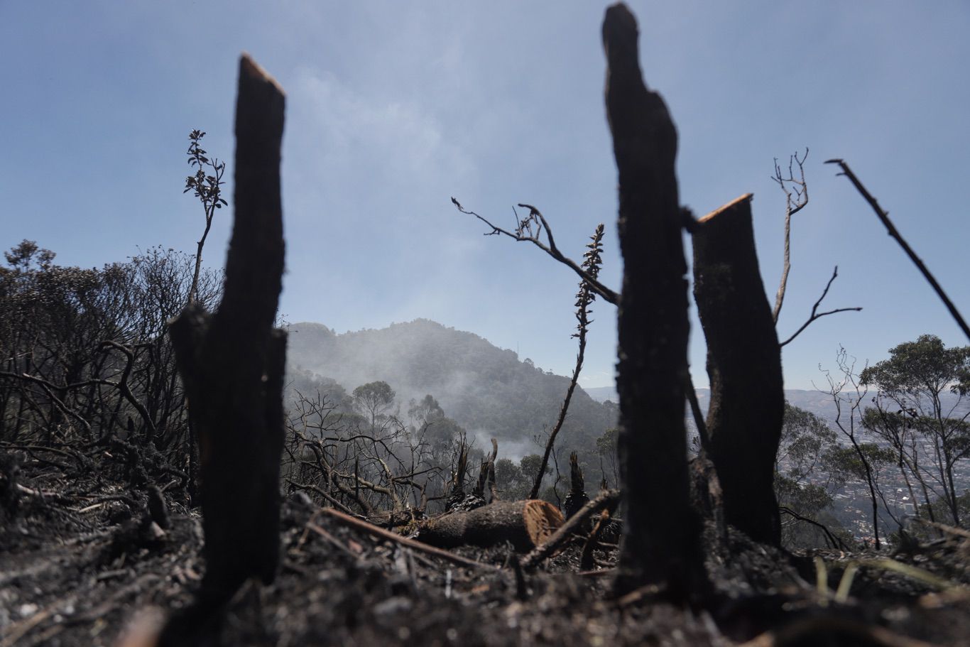 Incendio forestal en Bogotá