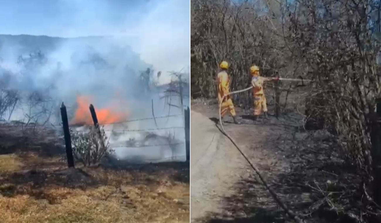 bomberos atendiendo Incendio forestal