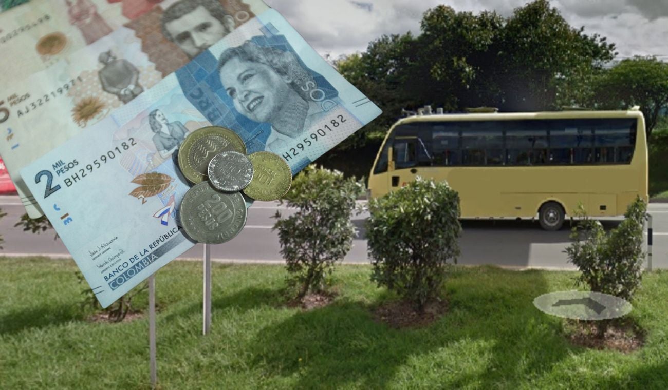 Bus intermunicipal y dinero