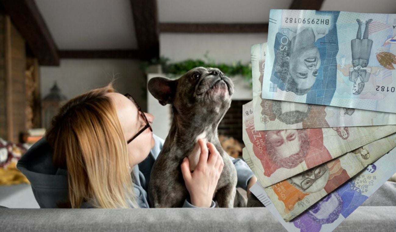 Mujer con su perro en el sofá y dinero colombiano