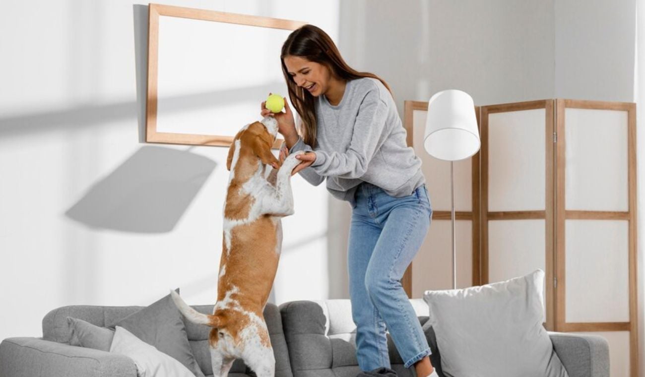 Nueva ley permite trabajar con la mascota