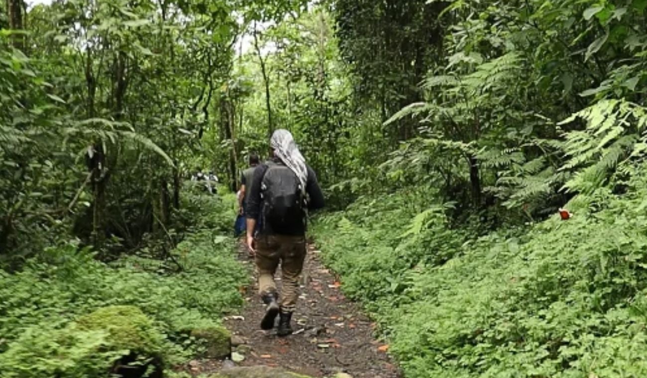 Parque Natural Chicaque