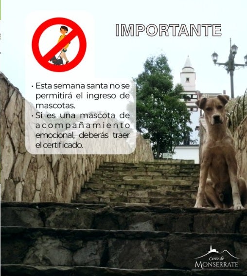 Monserrate no permitirá el acceso de mascotas en Semana Santa