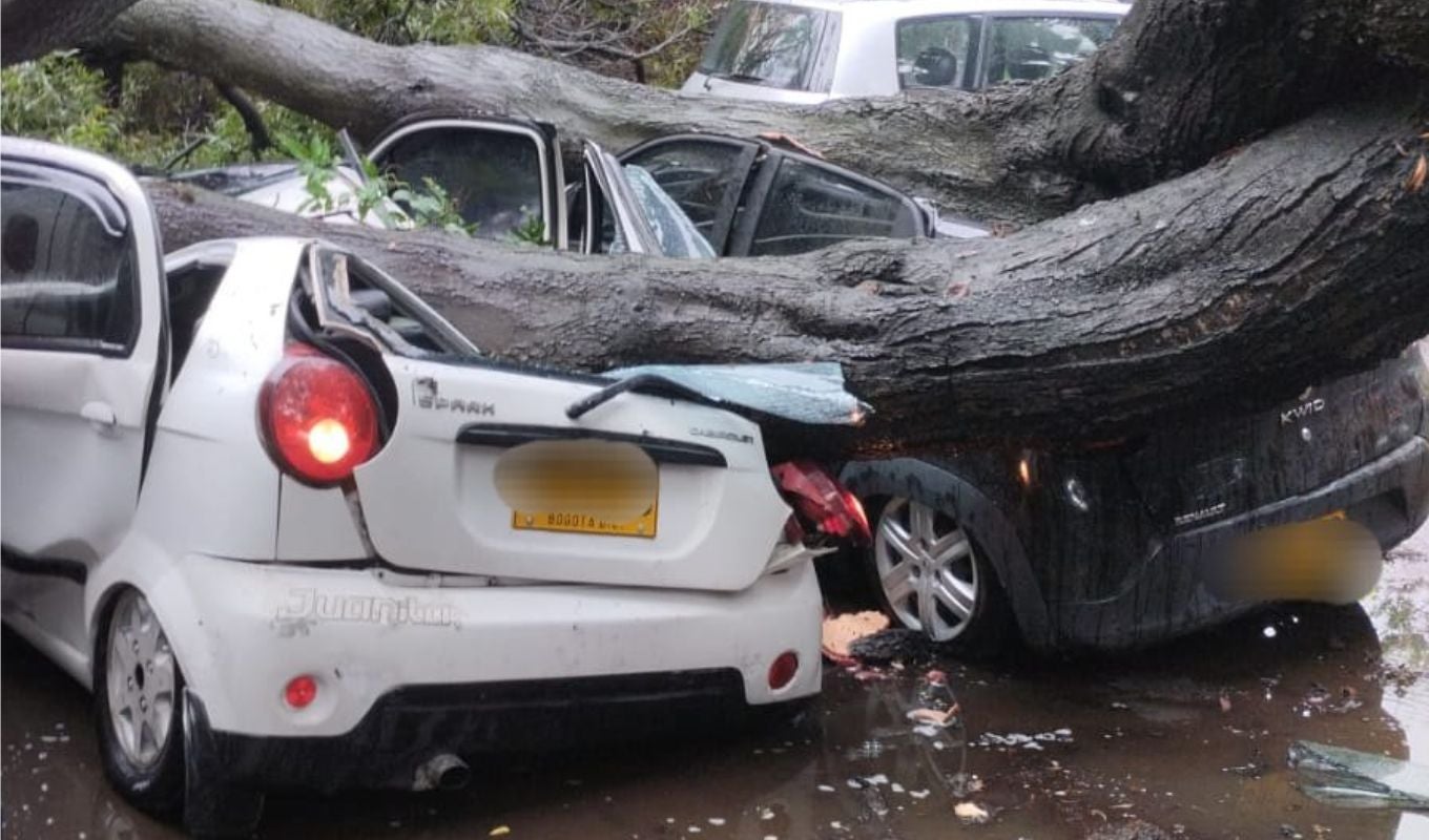 Árbol cayó sobre varios carros en Bogotá