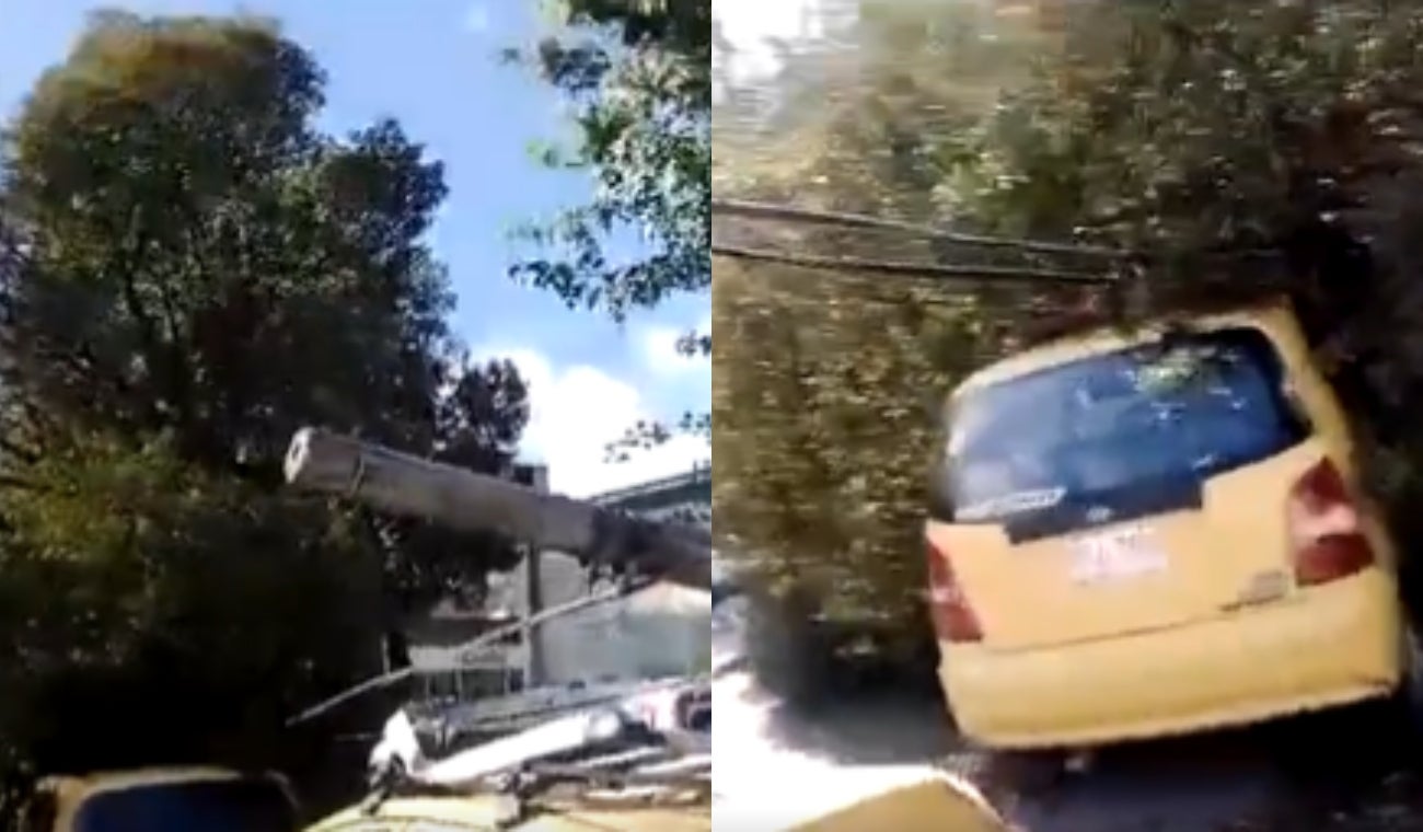 Árbol cayó sobre varios vehículos en Suba