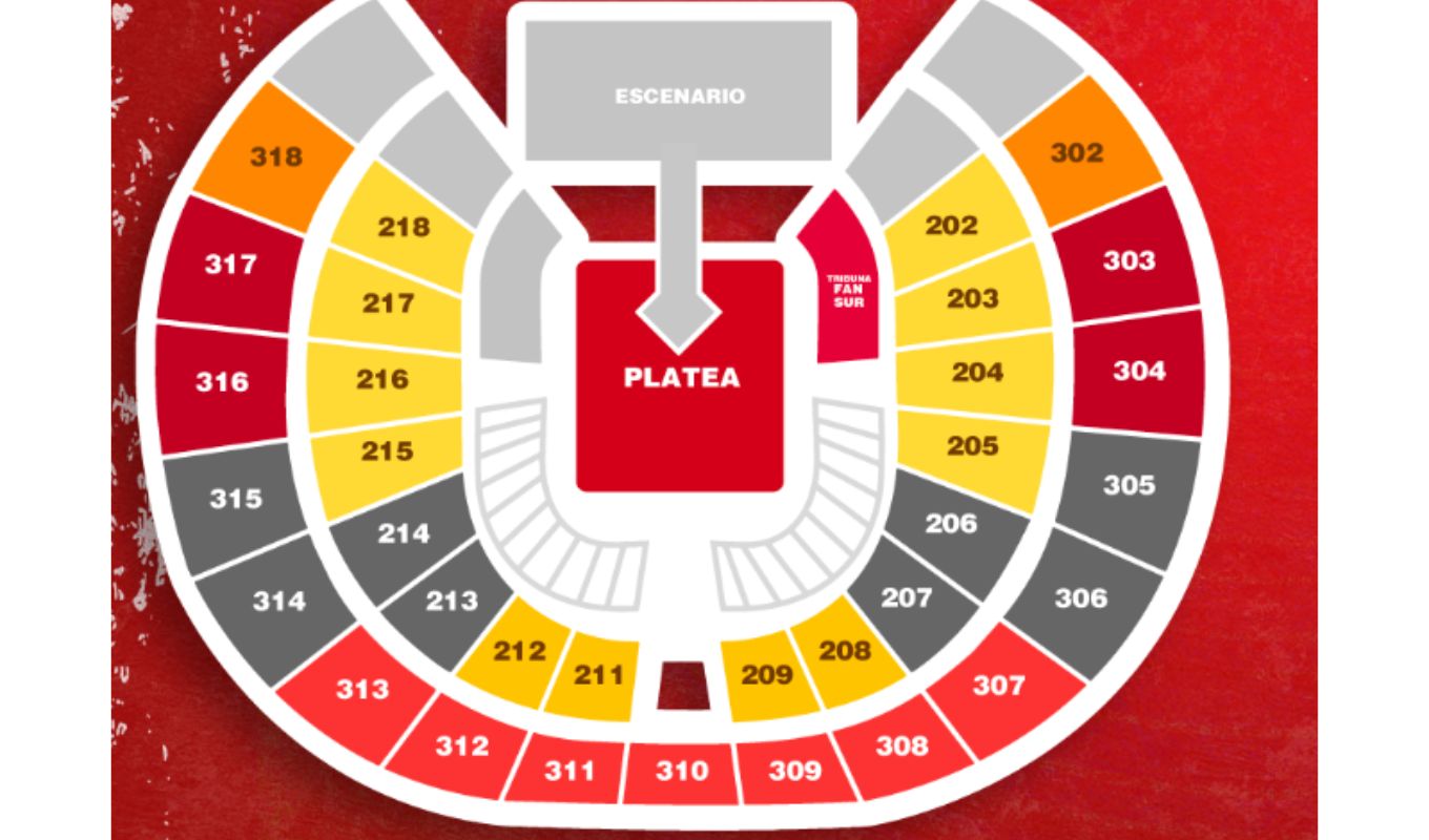 ubicaciones en concierto de Ryan Castro en Bogotá