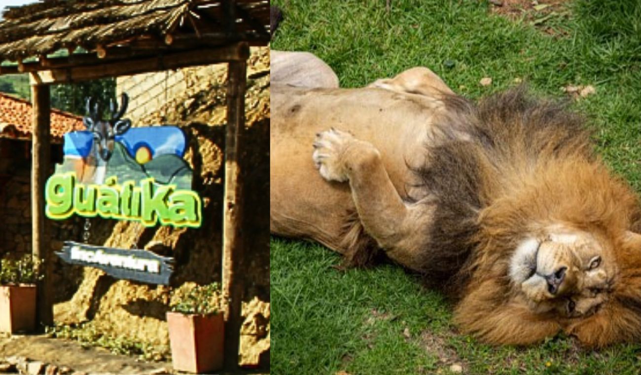 Zoológico de Guatika