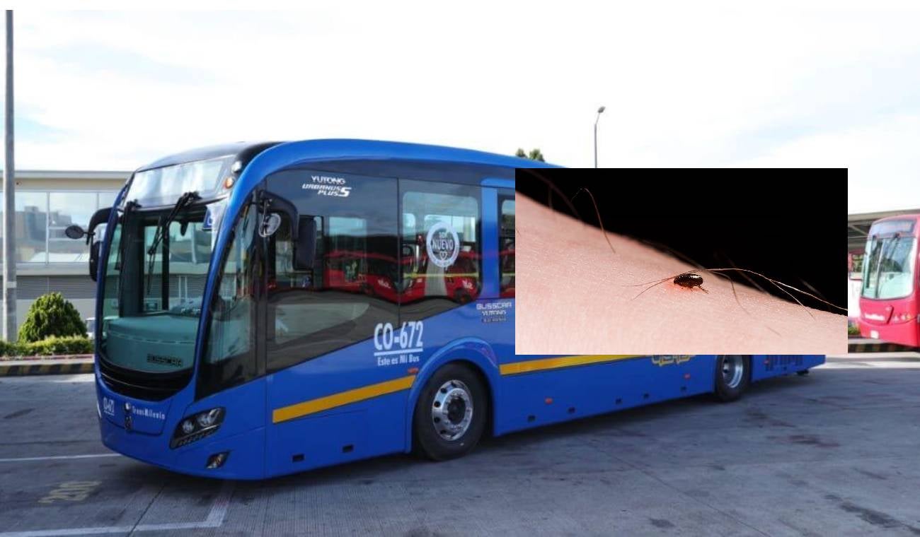 Bus de SITP con pulgas