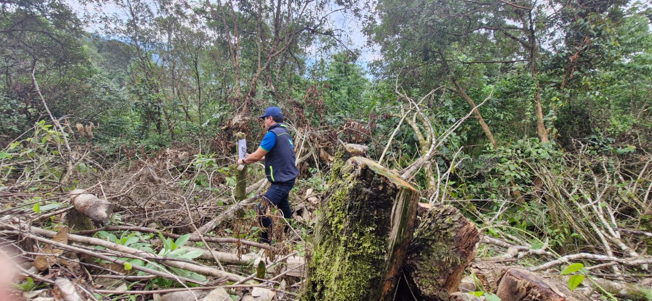 CAR Cundinamarca deforestación