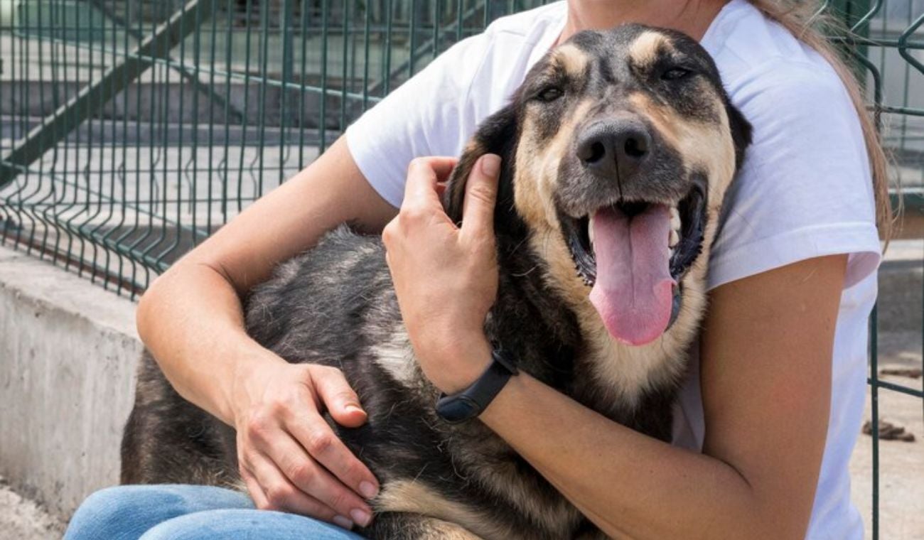 Los ciudadanos pueden reservar su espacio a través de la plataforma en línea