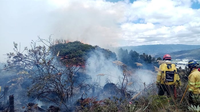 Incendios forestales en Cundinamarca l Clima | Ola de calor | Gobernación | Septiembre 2024