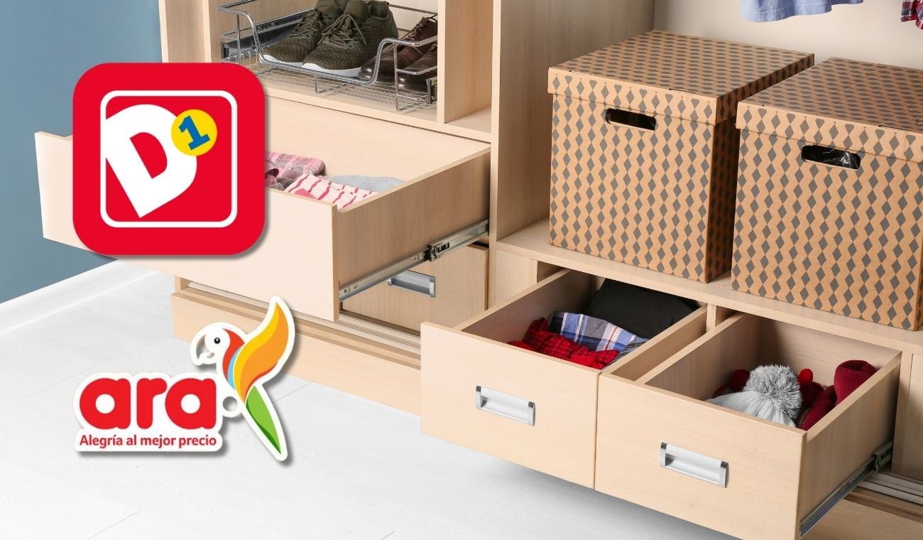 Organizadores que no tiene D1