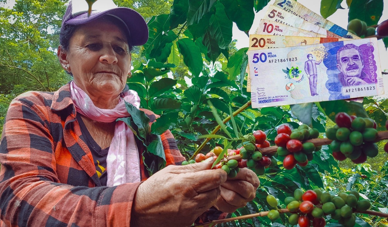 Campesinos asegurados ante el fenómeno La Niña: cultivos estarán protegidos