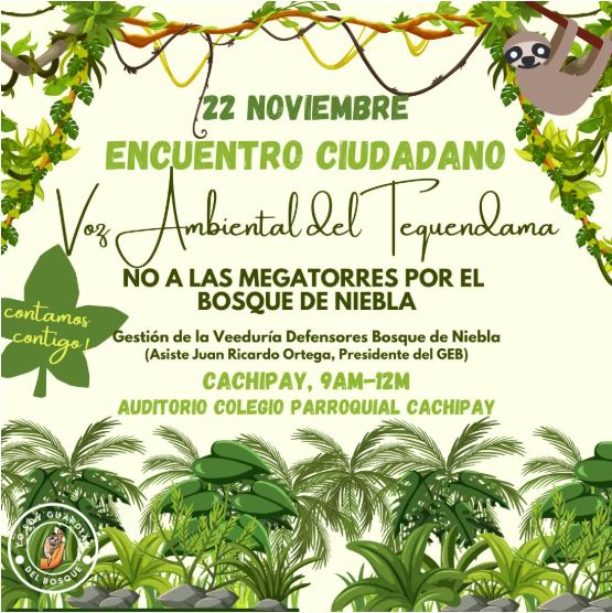 Encuentro ciudadano 'bosque de niebla'.