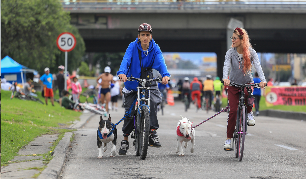 Ciclovía