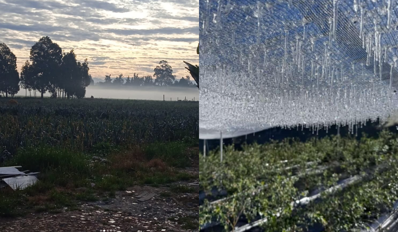 HELADAS en CUNDINAMARCA: municipios amanecieron con 'nieve'