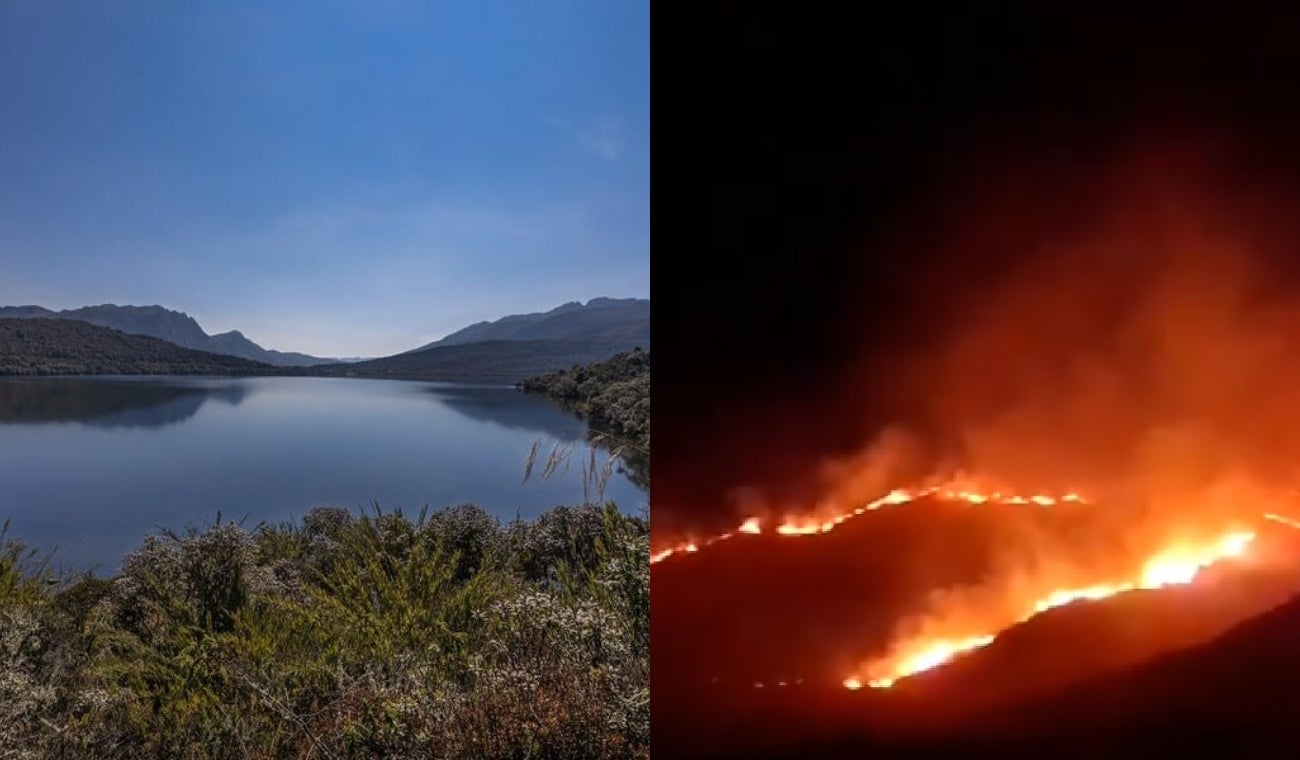 Incendio deja preocupante panorama