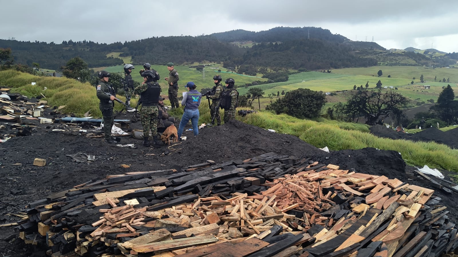 Golpe contra el crimen: cayeron productores ilegales de carbón en Soacha